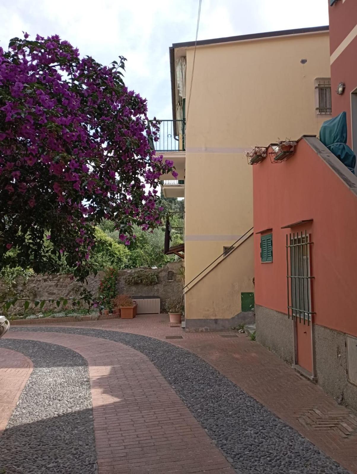 Al Vigneto Apartment Sestri Levante Exterior foto